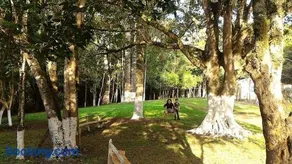 Chacara do Holandes Voador - Image 4