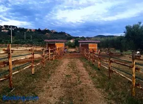 Agriturismo Quattro Pini - Image 4