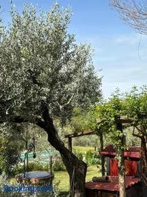 LA CAPANNA Casale in pietra con piscina - Image 3