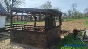 La Măcei - Image 4