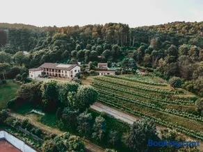 Tenuta Ronco Regio - Image 4