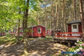 Erholung pur in der Strandhussiedlung Rügen - Bungalow Ferienwohnung - bis 5 Personen - nur 100m zum Naturstrand - mitten im Kiefernwald - Ideal für Paare & Familien - Hunde herzlich willkommen - Image 1