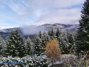 Korlape Apartman 4.2 - Image 3