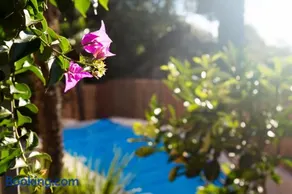Villa Fiore - Image 2