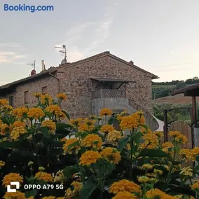 Agriturismo Il Borgo della Canapa - Image 4
