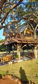 Casa na arvore Dream tree house - Image 4