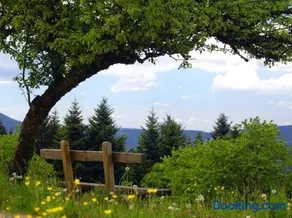 Landeckhof - Image 3