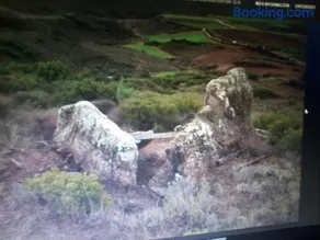 Nekasenea II - Image 5