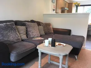 Newquay Villa 127 - Image 5