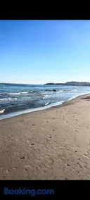 mar - Image 2