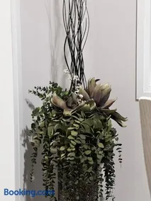 AyrHaus- Modern Comfort Meets Small-Town Charm - Image 3