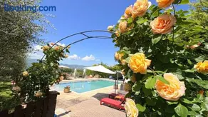 Agriturismo Podere Campiglia - Image 3