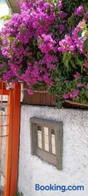 C e G House - Image 2