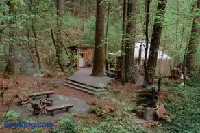 Your private Yurt in the woods - Nevada City - Image 3