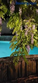 The Secret Garden - Image 2