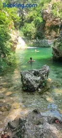 EL Gecko - Image 3