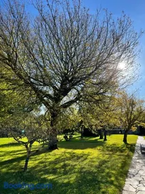 La Solana de Mogro - Image 3