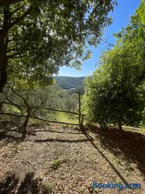 La Casetta dei Pereti - Image 3