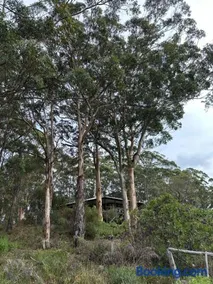 The Coombe - Image 2