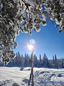 Ro i sjelen. Hytte til leie på Skrim. - Image 5