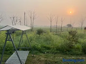 RajKamal's Farm - Image 2
