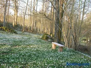 Wismens Natur & Fiske - Image 4