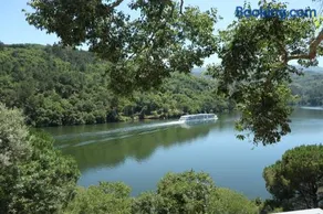 Quinta da Ribeirinha - Douro River - Image 4