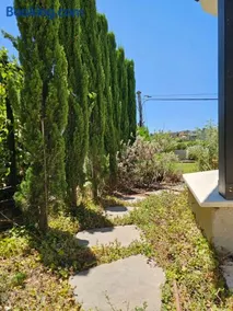 Reimond's place - Nahal Hilazon נחל חילזון - Image 5