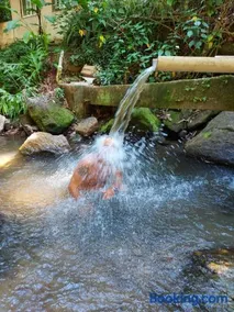 Camping São Conrado com cachoeira exclusiva, perto da praia e da Pedra Bonita - Image 2