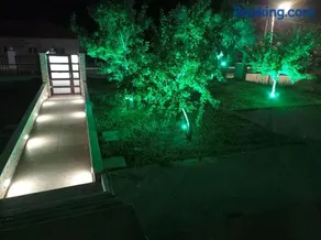 The Olive House - Image 3