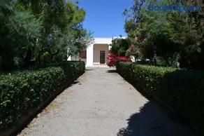 Villa Cino - Image 1