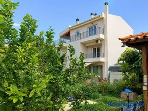 Pavlos Apartment - Leontari Stay with Garden View - Image 4