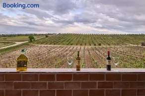 FINCA VALDELAJARA a 20 minutos de Puy du Fou - Image 4
