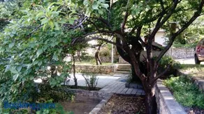 Apartman "Tartaruga" - Image 4