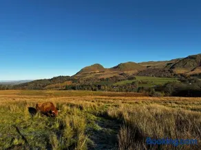 The West Highland Way Hotel and Retreat Accommodation - Image 5