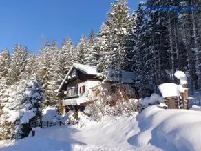Alm-Ferienhaus Gaisegg am Klippitztörl - Image 1