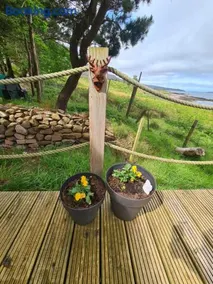 The bay ,luxury shepherds hut, - Image 5