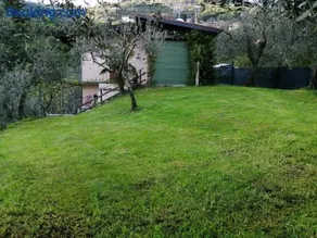 Casetta delle olive - Image 3