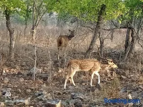 Khajuraho Dreams Homestay - Image 3