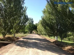 Finca el Consul - Image 3