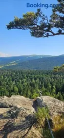 Gite Grand Confort en pleine nature - Le Perchoir de l'Olme - Image 1