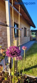 Dasis home - Image 2