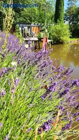 OFFGRID Haus am Angelteich - Image 3