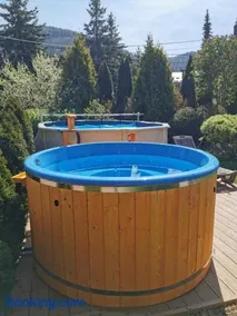 Wieczorek Pokoje Gościnne Całoroczne jacuzzi ogrodowe - Image 4