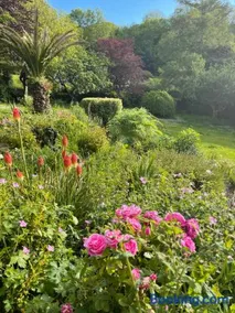 Beautiful Perranporth country house near the beach - Image 5