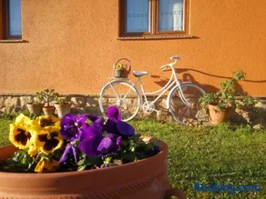 El MIRADOR DE TONO , Casa entera - Image 4