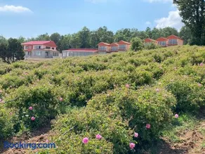 La Vie En Rose Hotel by Sogutdagi Isparta - Image 2
