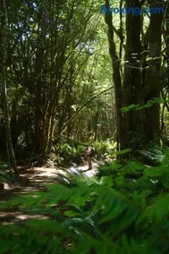 Wander Camp Olympic - Image 5