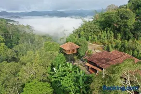 Spice Forest Plantation Homestay, Thekkady - Image 1