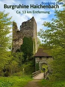 Gasthaus zur blauen Donau - Image 4